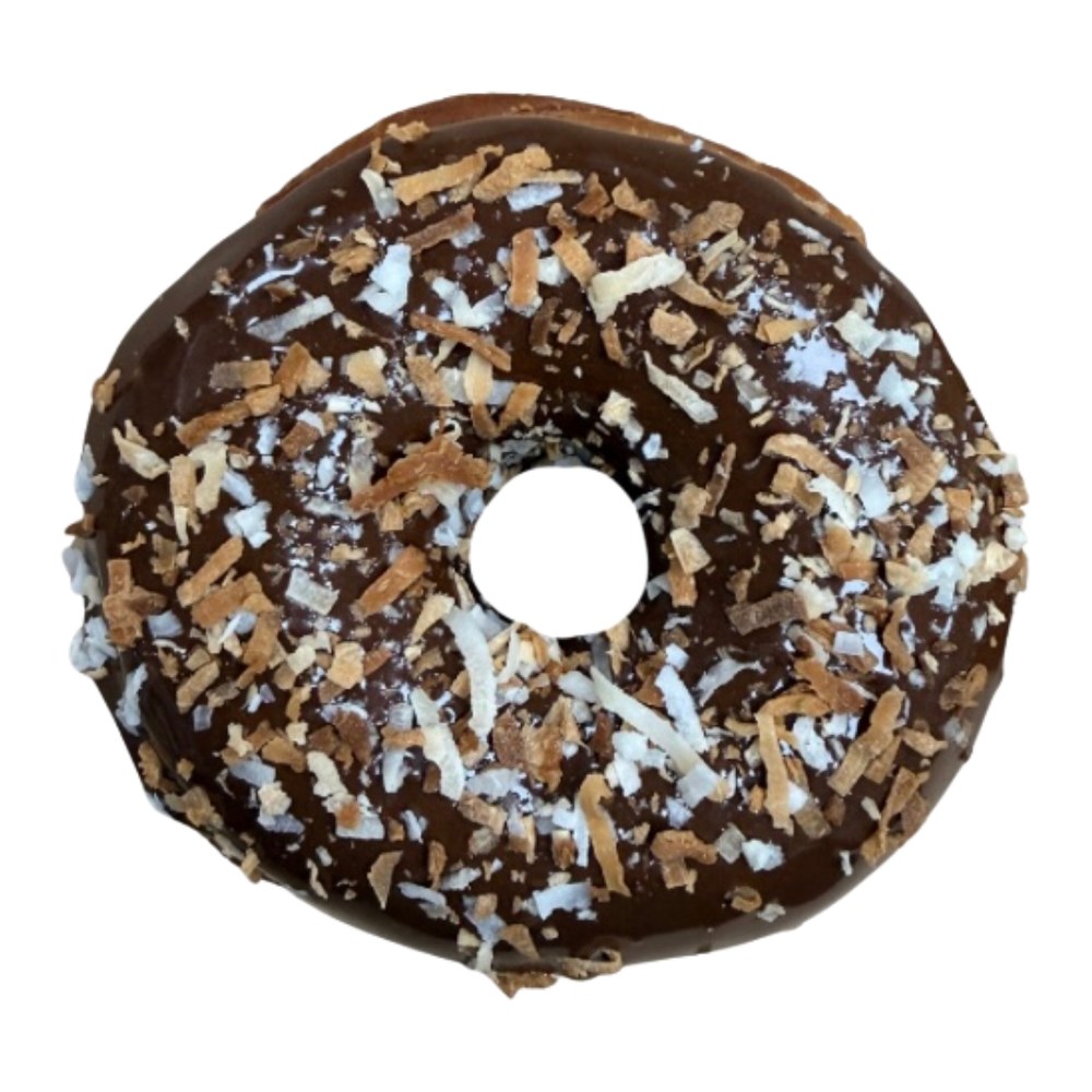 Chocolate Coconut donut